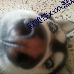 歐美性xxxx逛歡