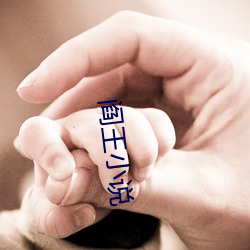 阎王(wáng)小(xiǎo)说