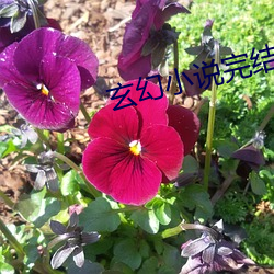 suncitygroup太阳集团--官方网站