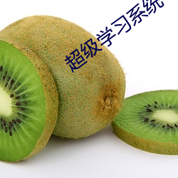 超级(級)学习系统