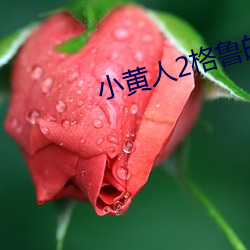 米乐M6·(中国)官方网站