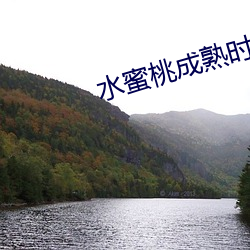 金年会(中国)官方网站