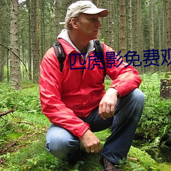 匹虎影免费观看