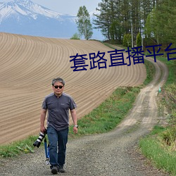 套路直播(播)平台