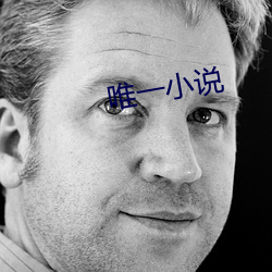 唯一小说