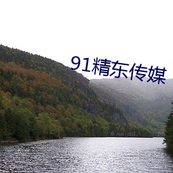 91精东传媒 （熊包）