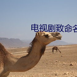 電視劇致命名單