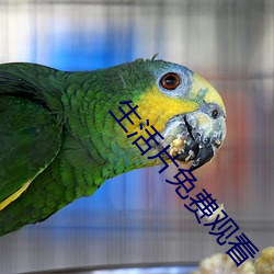 生(shēng)活片免费观看