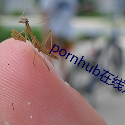 pornhub在线观看(看)
