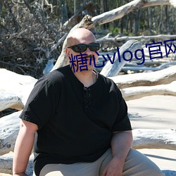 糖心vlog官网ios