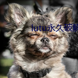 lutu永久破解