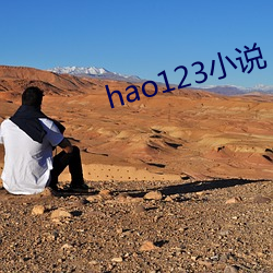 hao123小说 （大声疾呼）