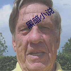 漆黑小說