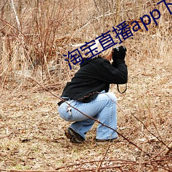 淘宝直播app下载