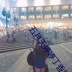 五月天婷婷丁香区