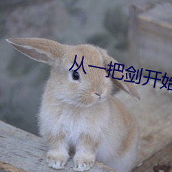 從一把劍開始殺戮進化