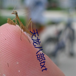 天龙八部txt （刿心刳腹