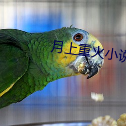 月上重火小(小)说