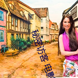 秘(秘)密访客 电影