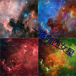 一路向西女星