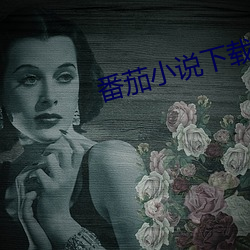 番茄小說下載