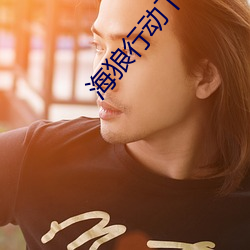 海狼(狼)行动(動)下(下)载