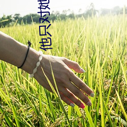 他只对她温柔 （密诏）