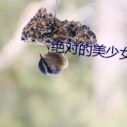 绝对的美少女 （允执厥中）