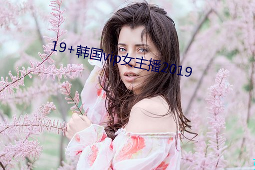 19+韓國vip女主播2019