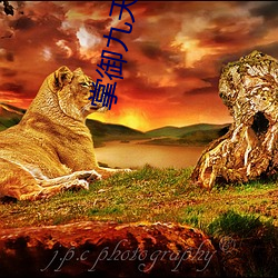 掌(zhǎng)御九天