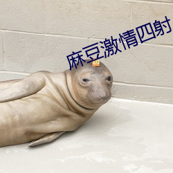 麻豆激情四射