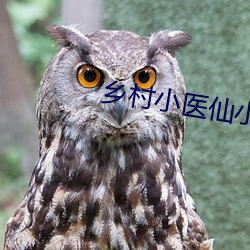 墟落小医仙小说全集免费阅读