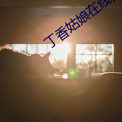 丁香姑娘在线播放