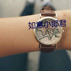如意小郎君