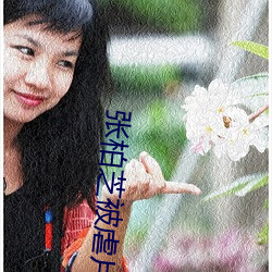 张柏芝被(bèi)虐(nüè)片