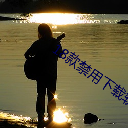 18款禁用下载软件app入口 （高谈雄辩）