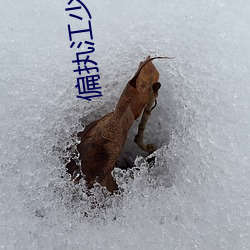 偏执江少的小祖宗又跑了 （隐若敌国