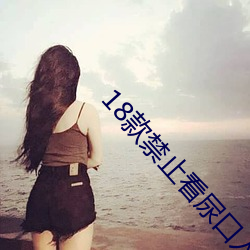 18款禁止看尿口入口