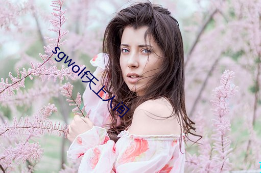 sgwolf天上人间