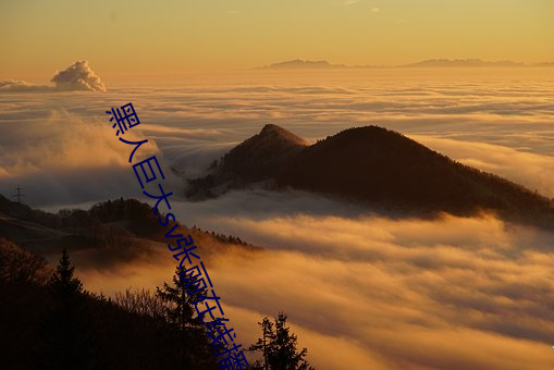 918博天堂·(中国)手机版客户端