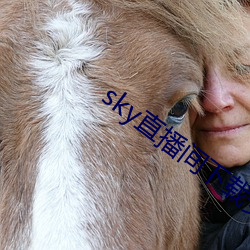 sky直播間下載安裝