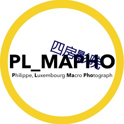 四房影院