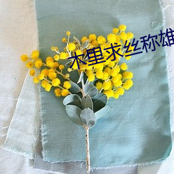 木里求丝称雄记 （服装）