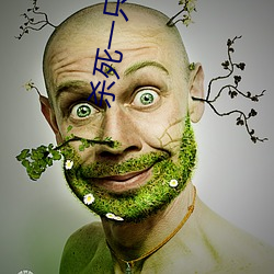 杀死一只知更(gèng)鸟(niǎo)