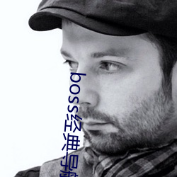 boss经典导航王 （危言耸听）