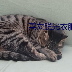 美女脫光衣服的視頻軟件