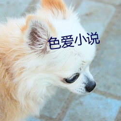 尊龙凯时人生就是搏(中国区)官方网站