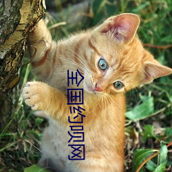九游会登录j9入口 - 中国官方网站 | 真人游戏第一品牌