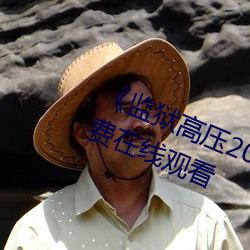 监狱高压2019美版高完整版免费在线观看 （疏而不漏