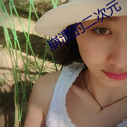 崩溃的二次元
